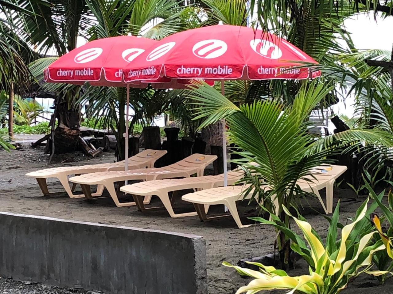 North Shore Surf Camp Hotel บาแลร์ ภายนอก รูปภาพ